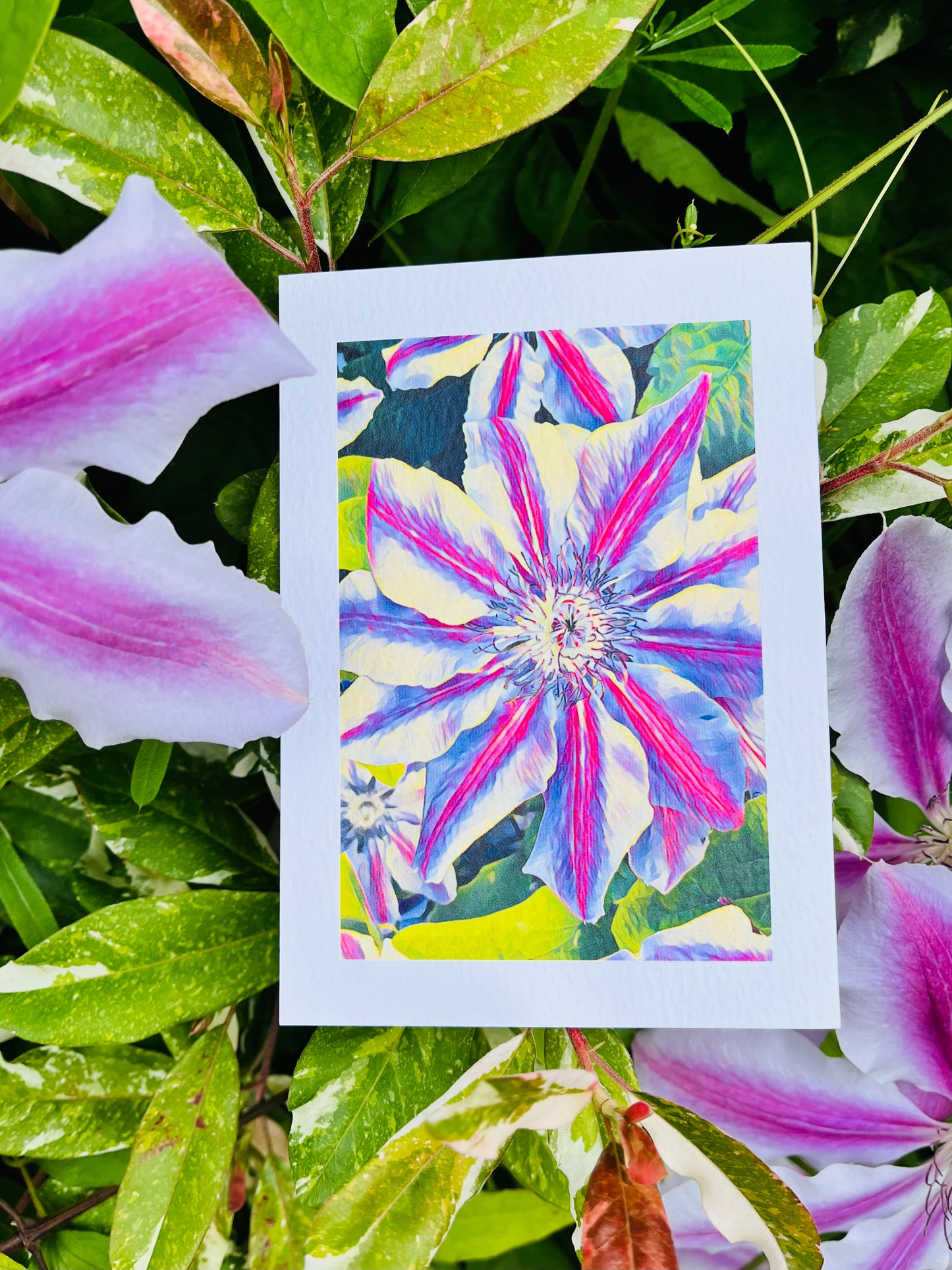 Passion Flower Greetings Card