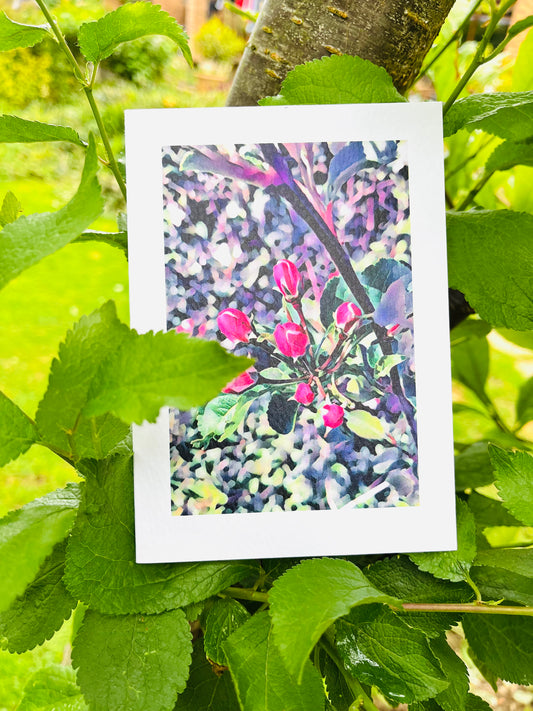 Plum Blossom Greetings Card