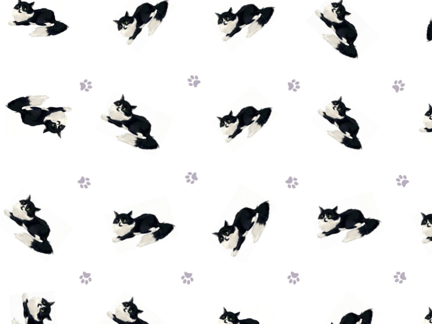 Cute Cats Wrapping Paper LEO, with TWO FREE GIFT TAGS