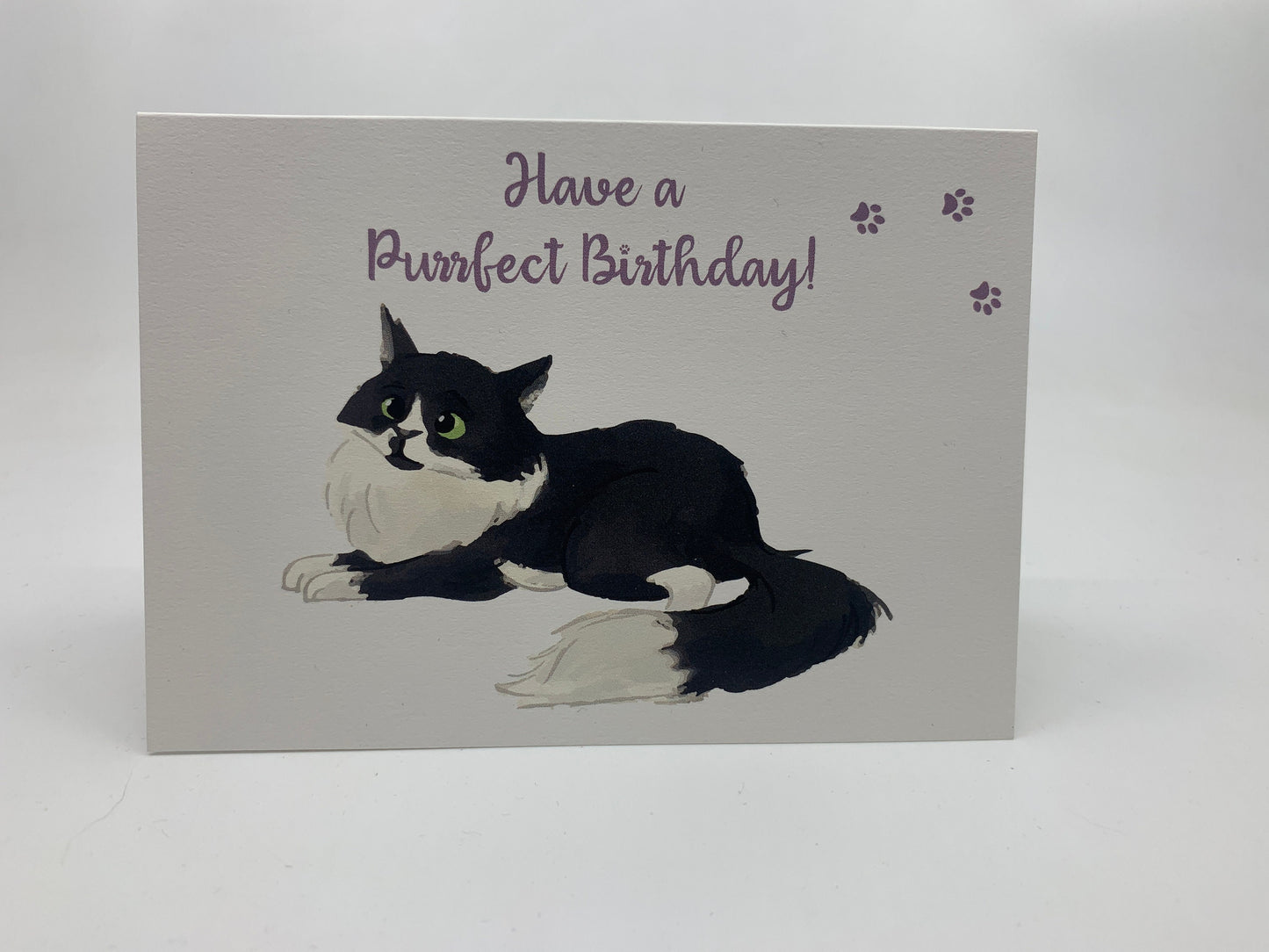 Fluffy Cat A6 Birthday Card with Peel and Stick Envelope - LEO