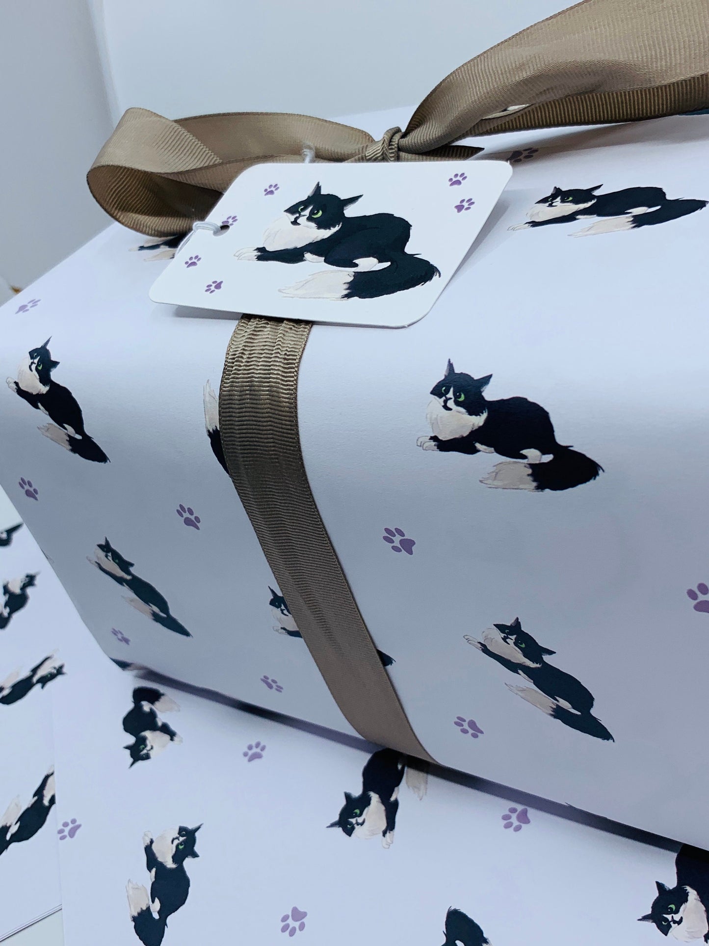 Cute Cats Wrapping Paper LEO, with TWO FREE GIFT TAGS