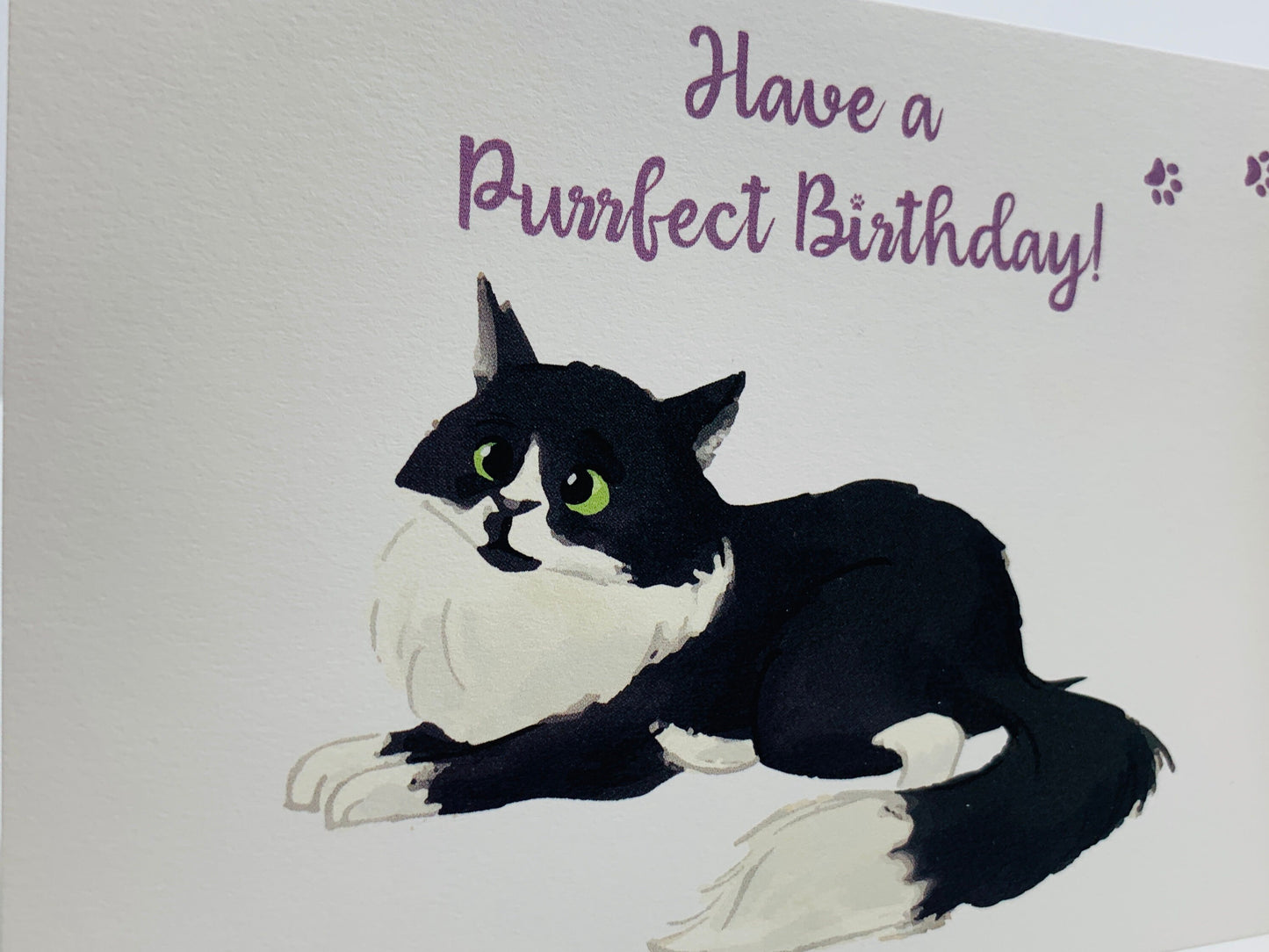 Fluffy Cat A6 Birthday Card with Peel and Stick Envelope - LEO