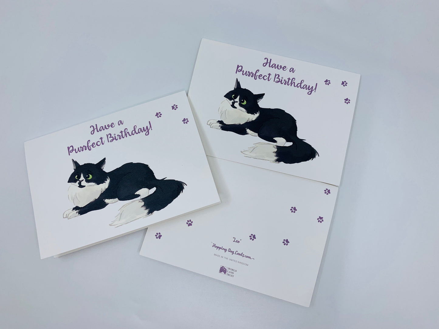 Fluffy Cat A6 Birthday Card with Peel and Stick Envelope - LEO