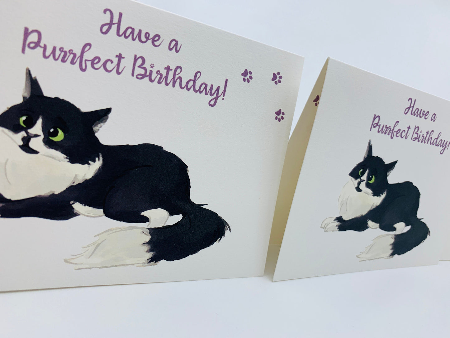 Fluffy Cat A6 Birthday Card with Peel and Stick Envelope - LEO