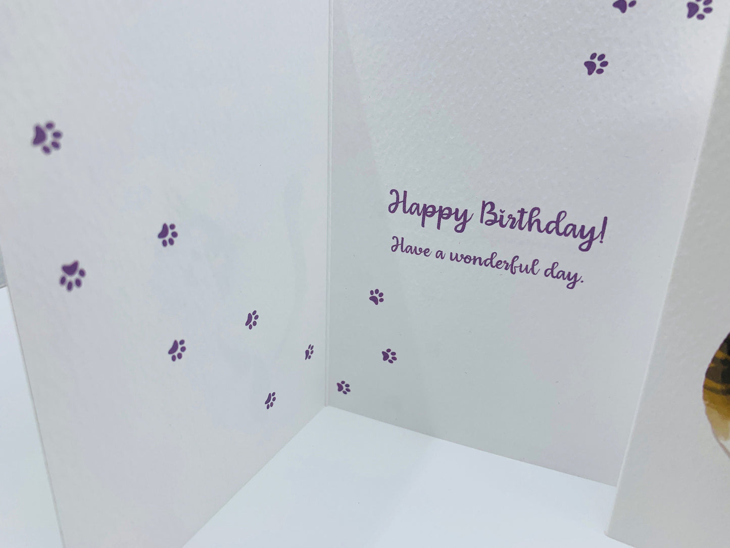 Cute Cat A6 Birthday Card with White Peel and Stick Envelope - FERGUS