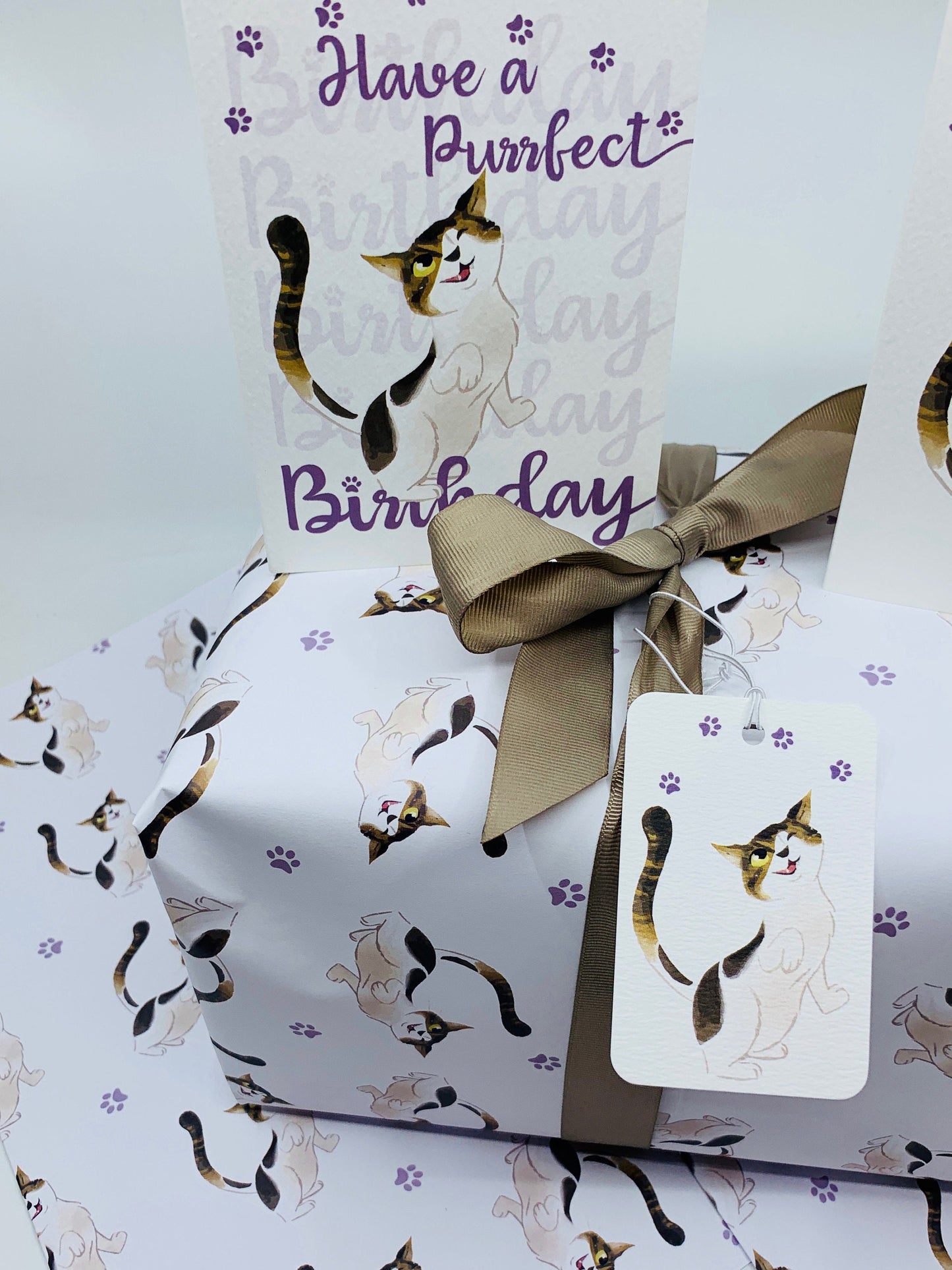 Cute Cat A6 Birthday Card HAVE A PURRFECT Birthday - FERGUS