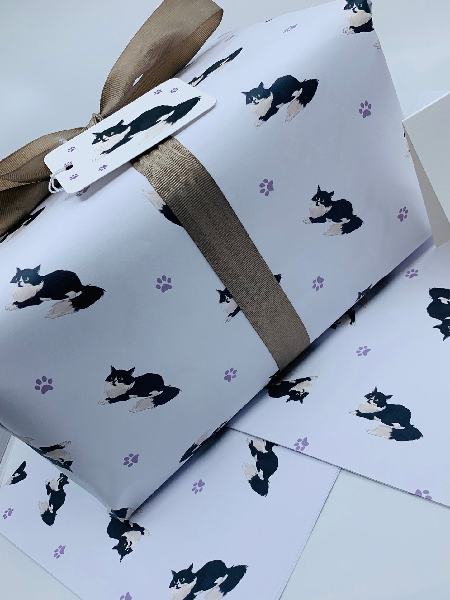 Cute Cats Wrapping Paper LEO, with TWO FREE GIFT TAGS