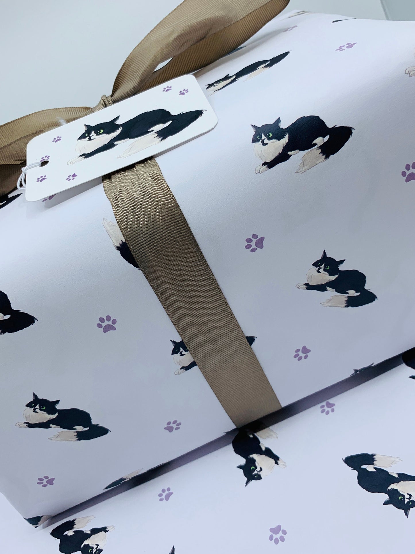 Cute Cats Wrapping Paper LEO, with TWO FREE GIFT TAGS