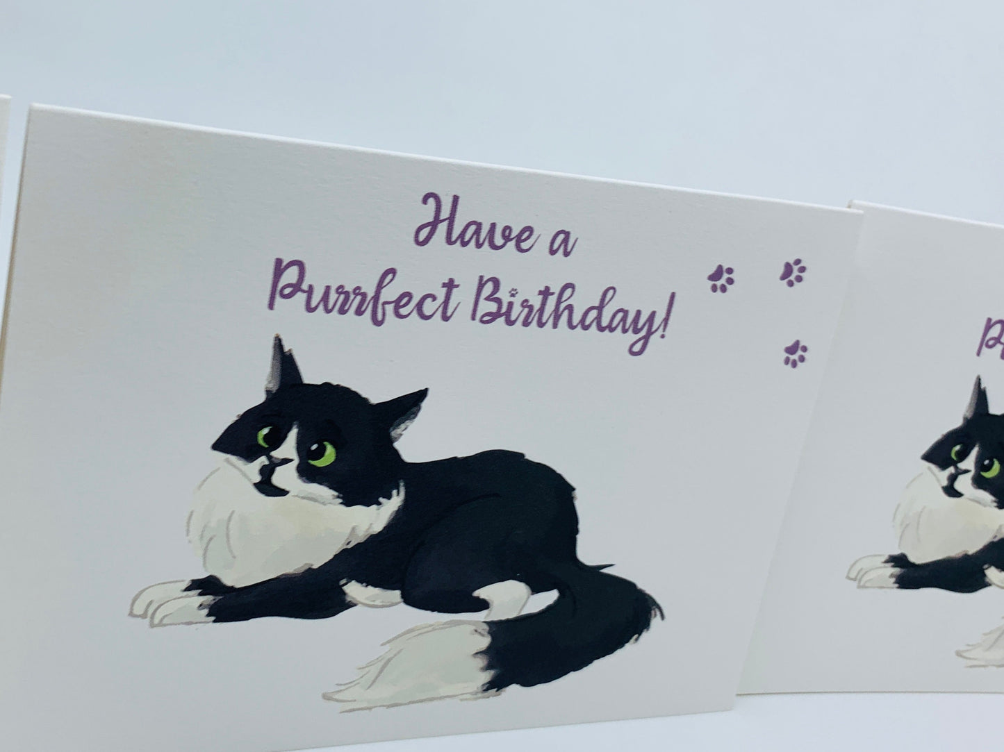 Fluffy Cat A6 Birthday Card with Peel and Stick Envelope - LEO