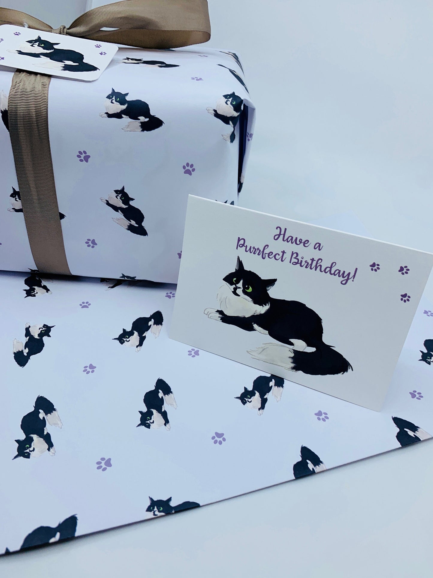 Fluffy Cat A6 Birthday Card with Peel and Stick Envelope - LEO