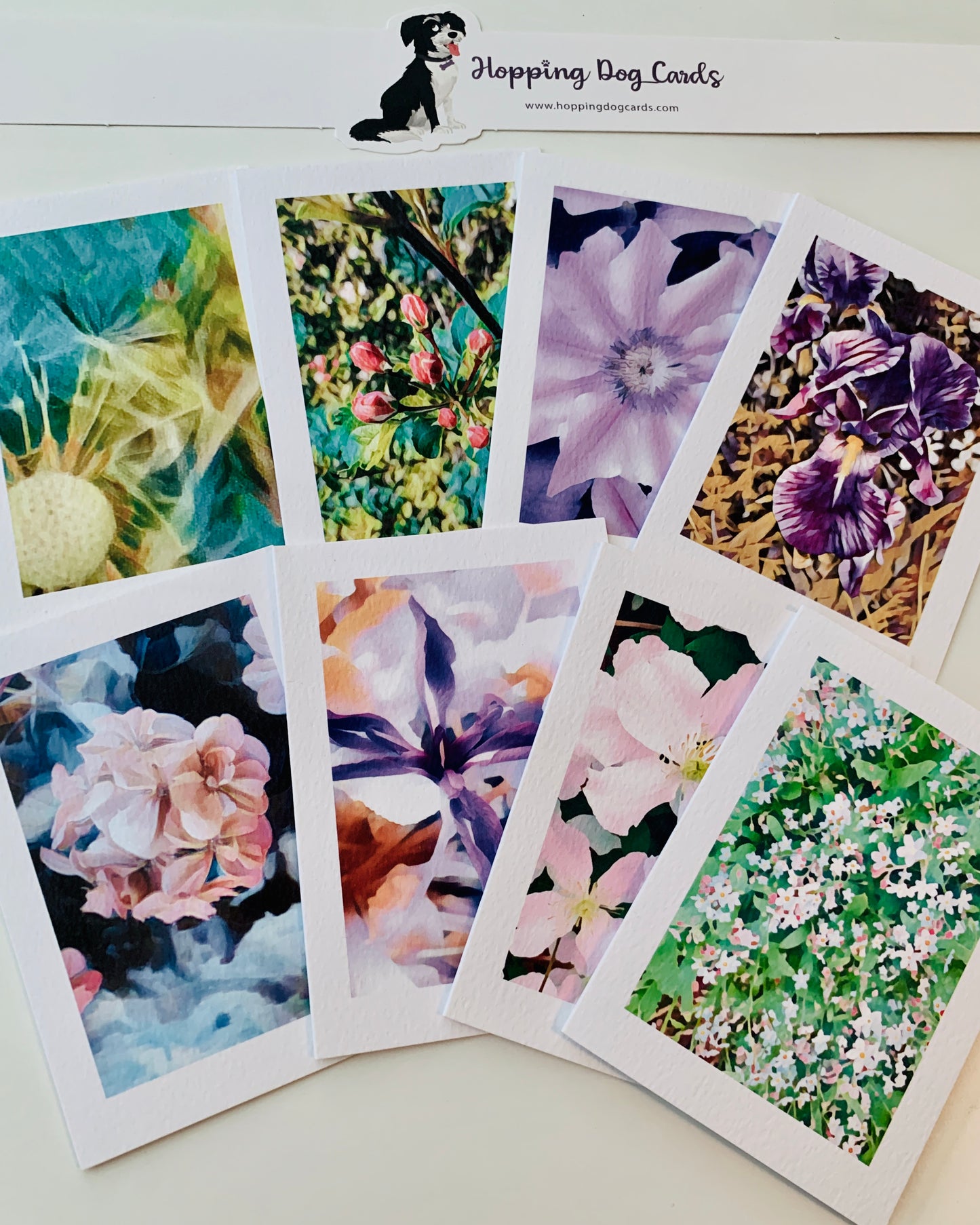 Set of 8 Individual Floral Notecards