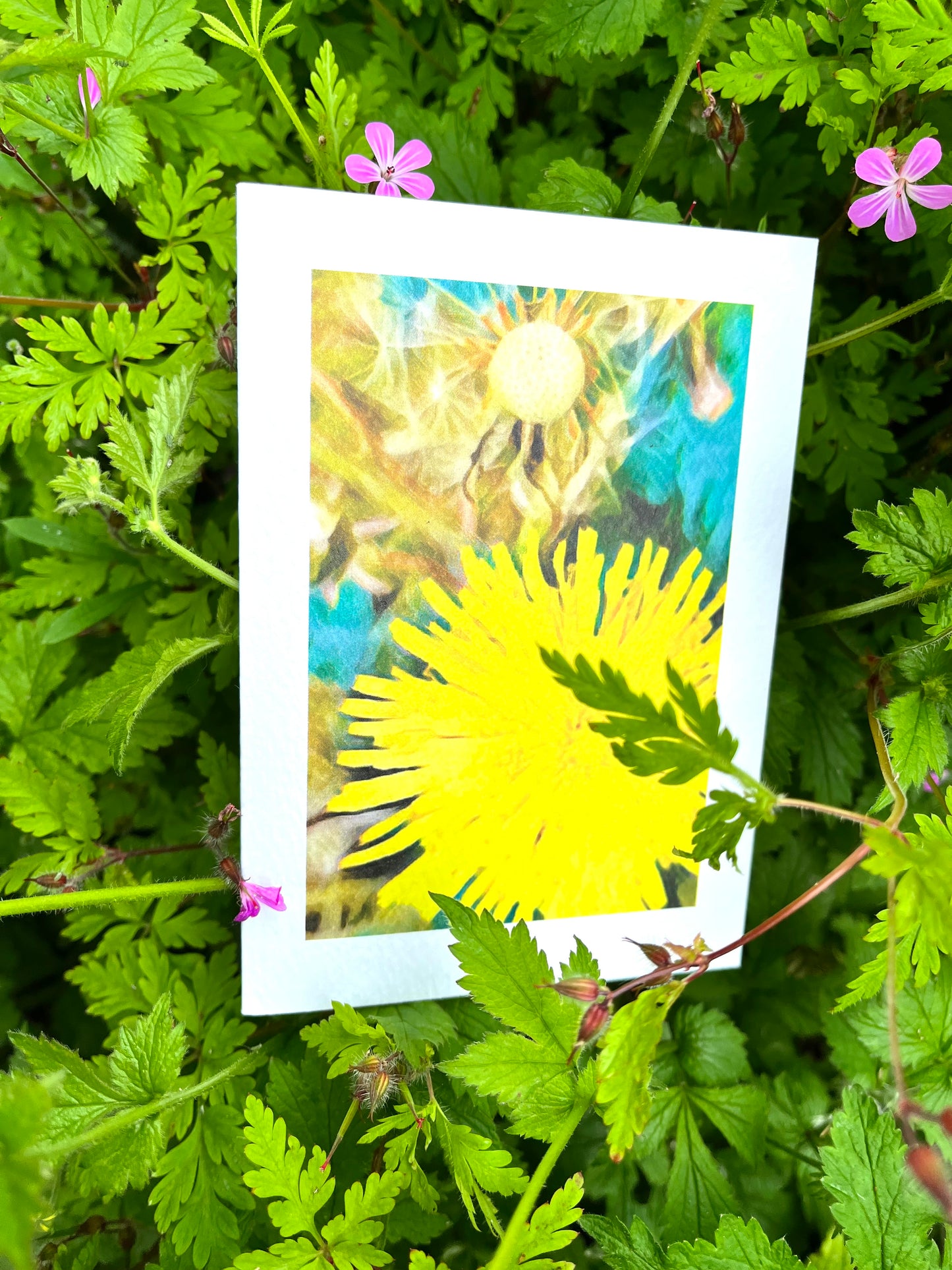 Dandelion Yellow Greetings Card