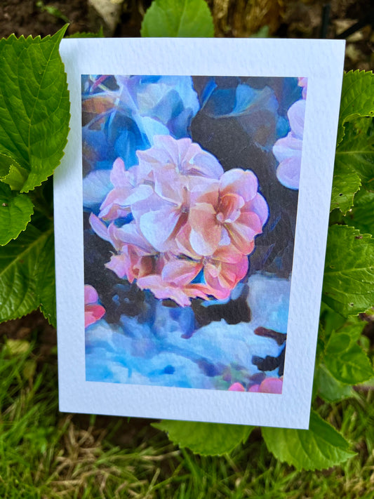 Soft Pink Geranium Greetings Card