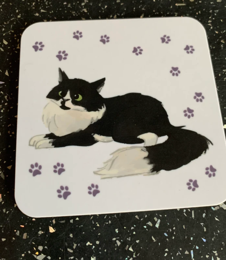 Cute Cat Leo COASTER