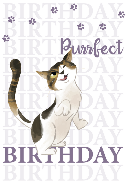 Cute Cat A6 Birthday Card HAVE A PURRFECT Birthday  - FERGUS