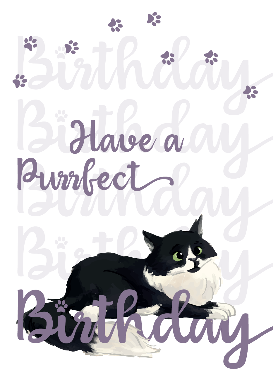 Cute Fluffy Cat Birthday Card HAVE A PURRFECT BIRTHDAY!