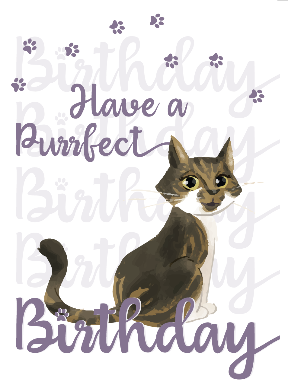 Cute Tabby Cat A6 Birthday Card  Have a PURRFECT Birthday ISLA