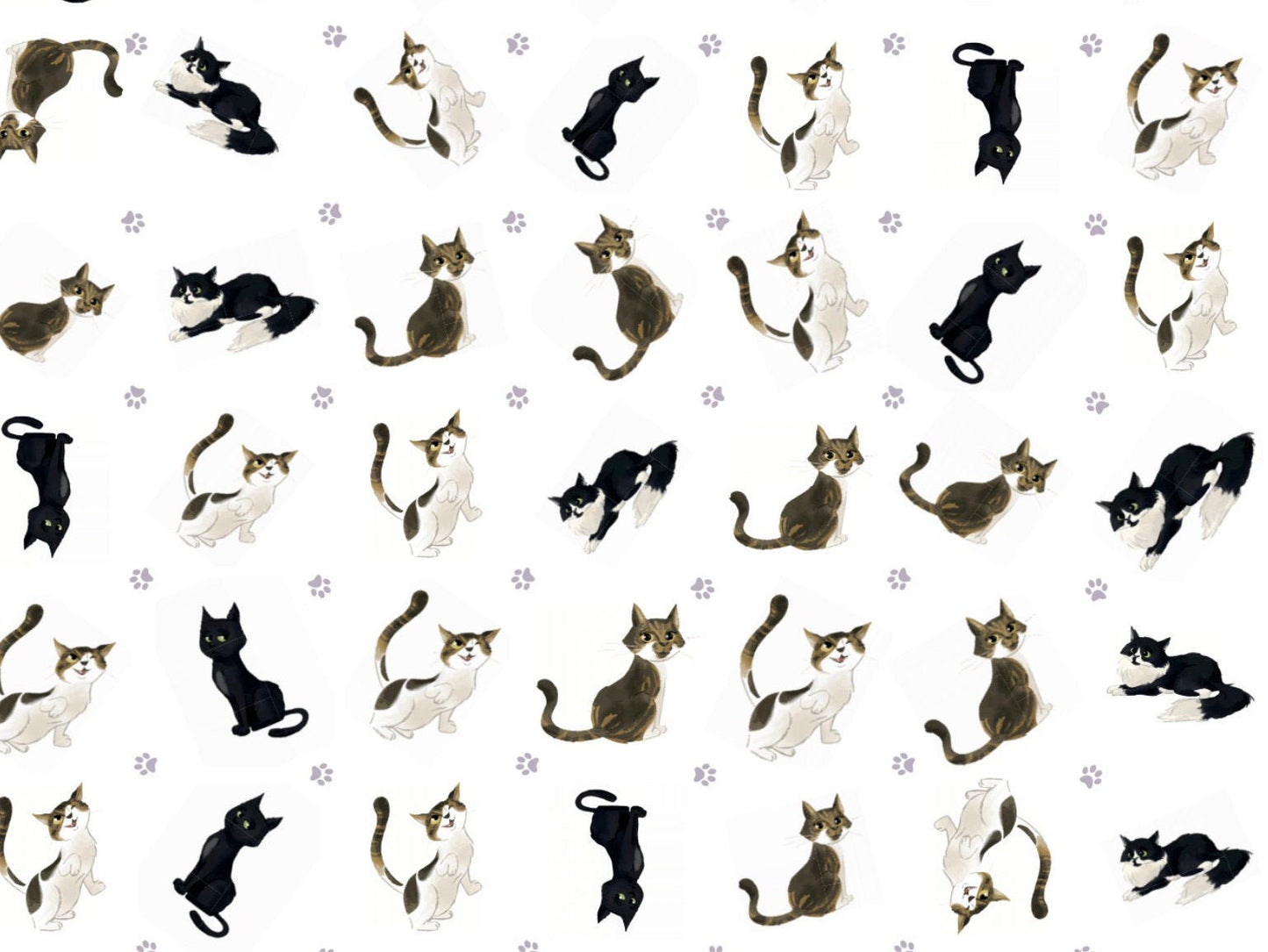 Cute Cats Wrapping Paper ALL CATS