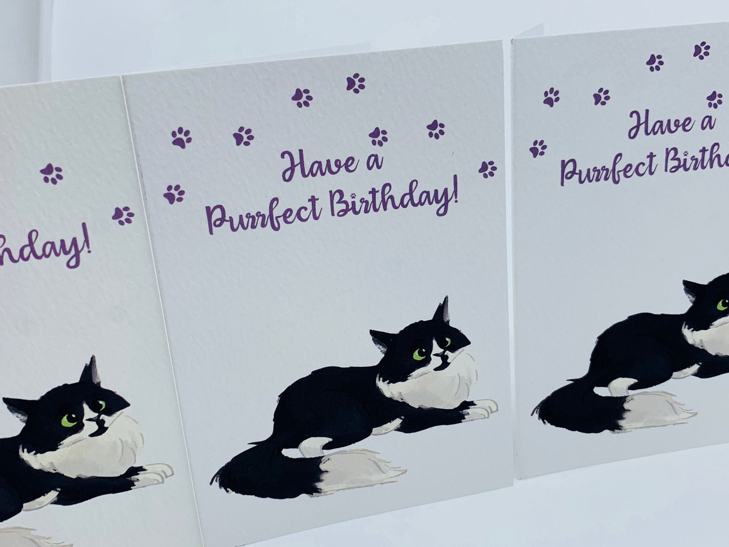 Cute Fluffy Cat BIRTHDAY CARD