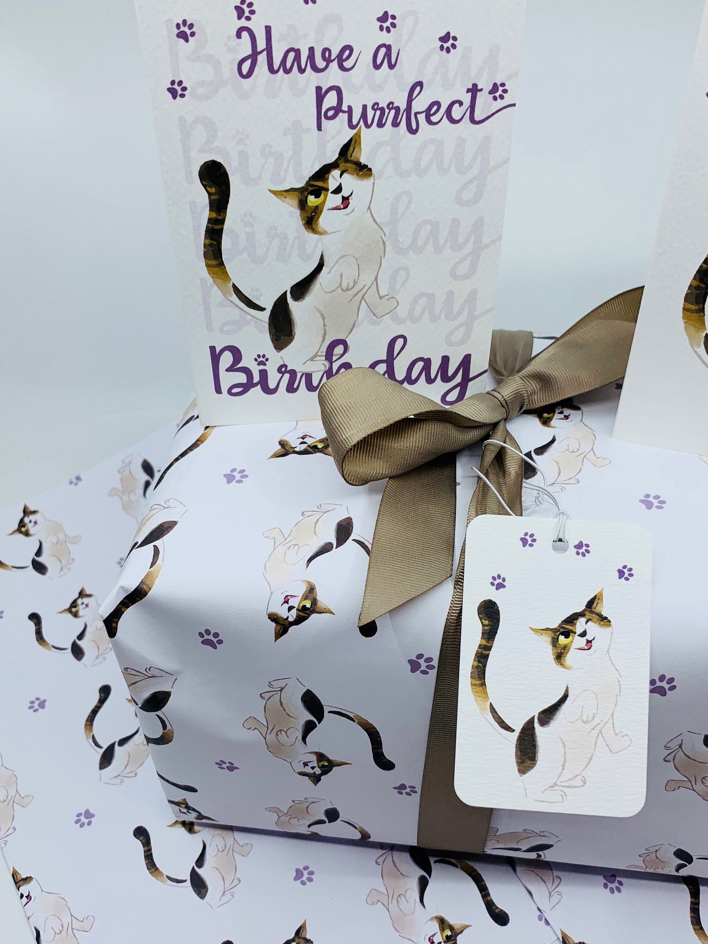 Cute Cat A6 Birthday Card HAVE A PURRFECT Birthday  - FERGUS