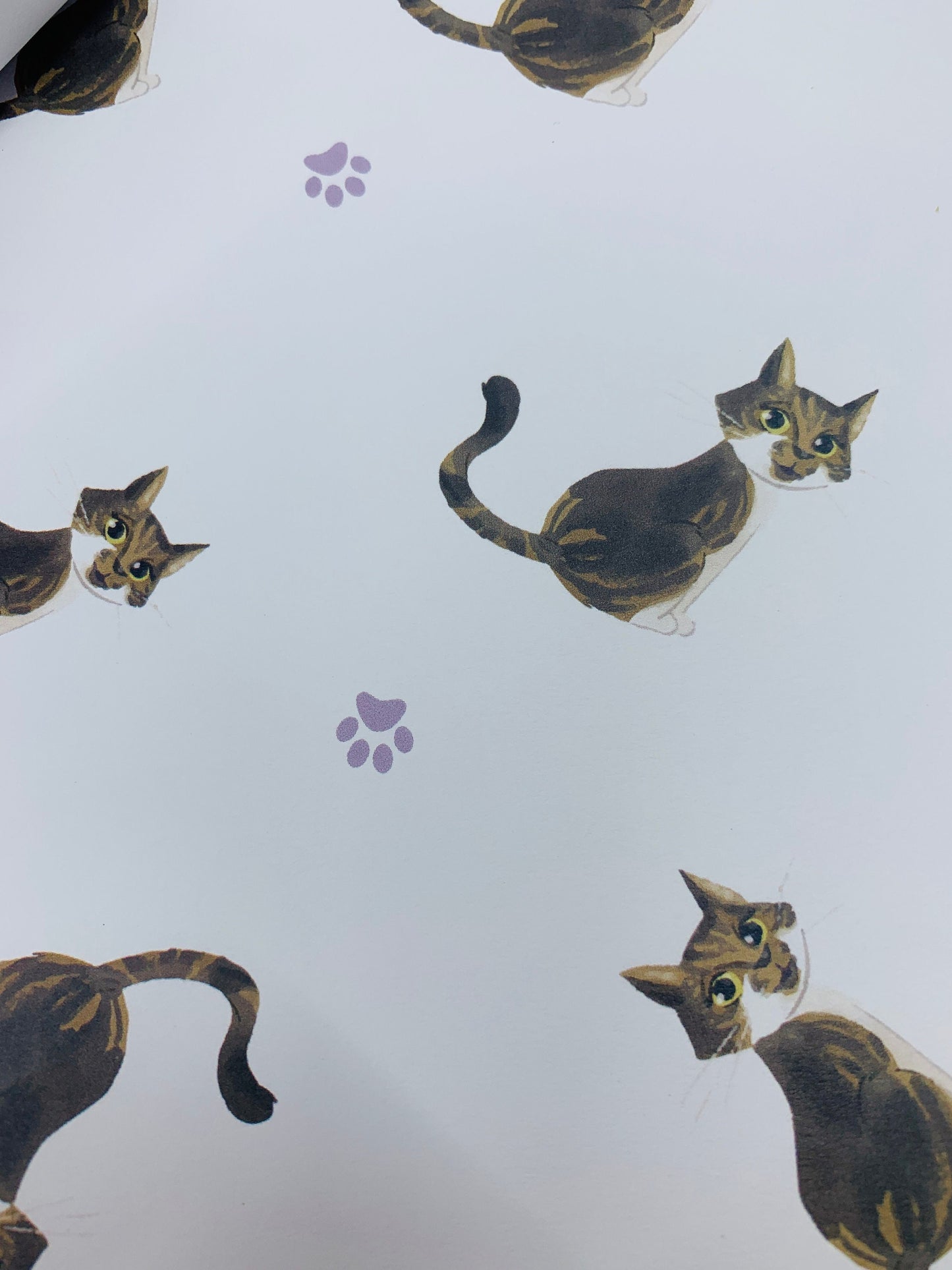 Cute Cats Wrapping Paper, ISLA with TWO FREE GIFT TAGS