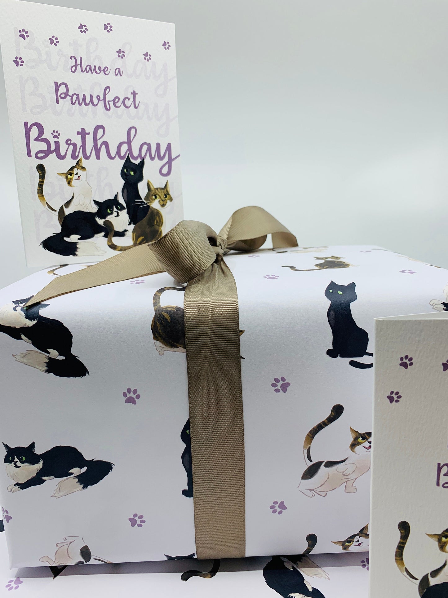 Cute Cats Wrapping Paper ALL CATS