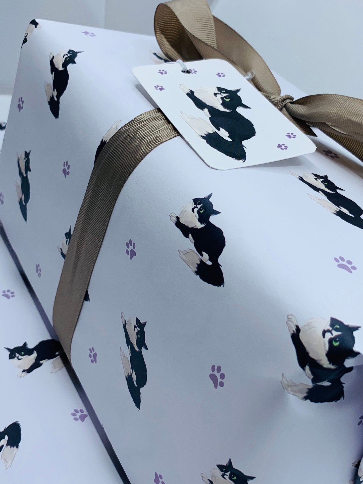 Cute Cats Wrapping Paper LEO, with TWO FREE GIFT TAGS