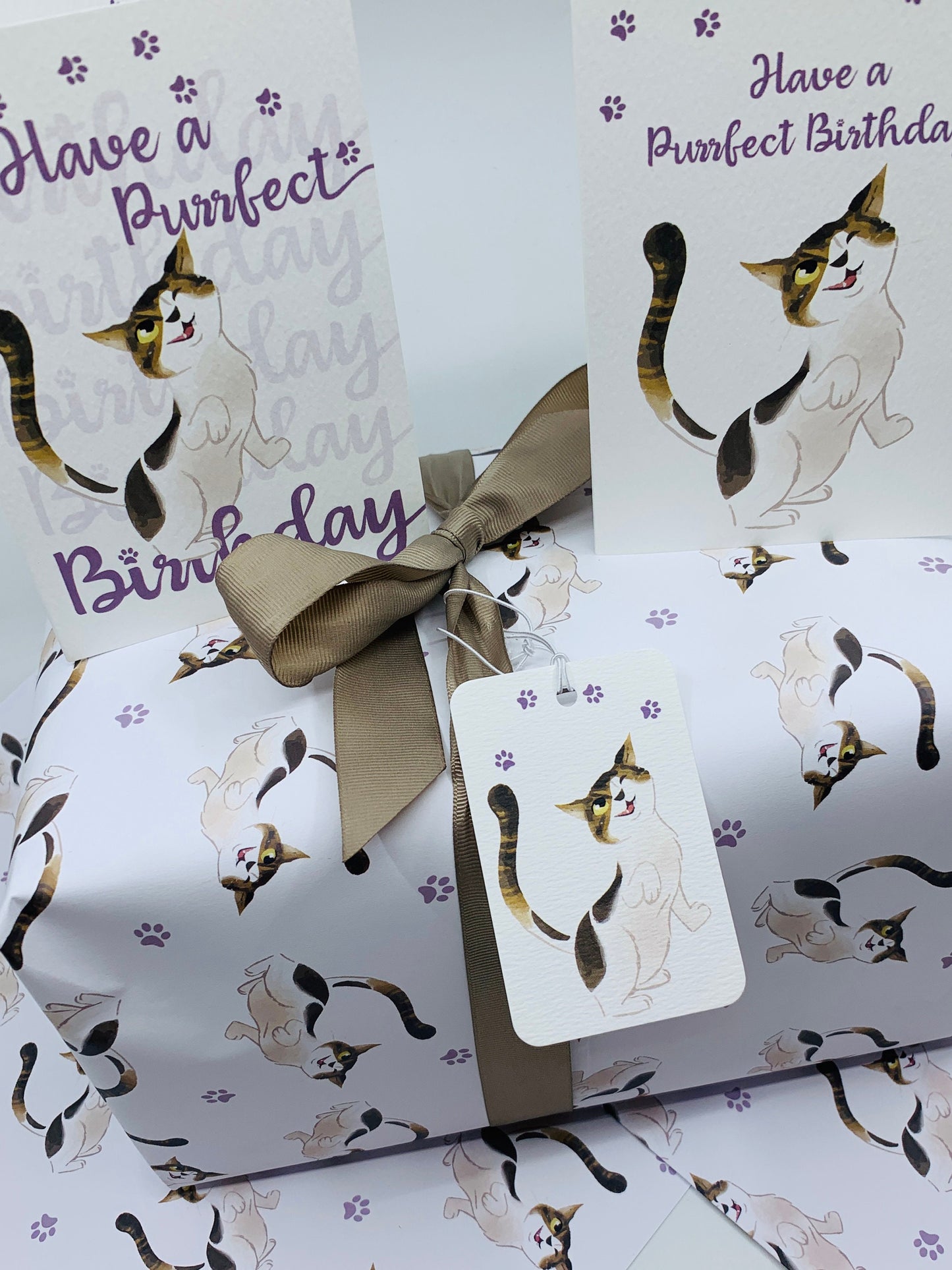 Cute Cats Wrapping Paper FERGUS